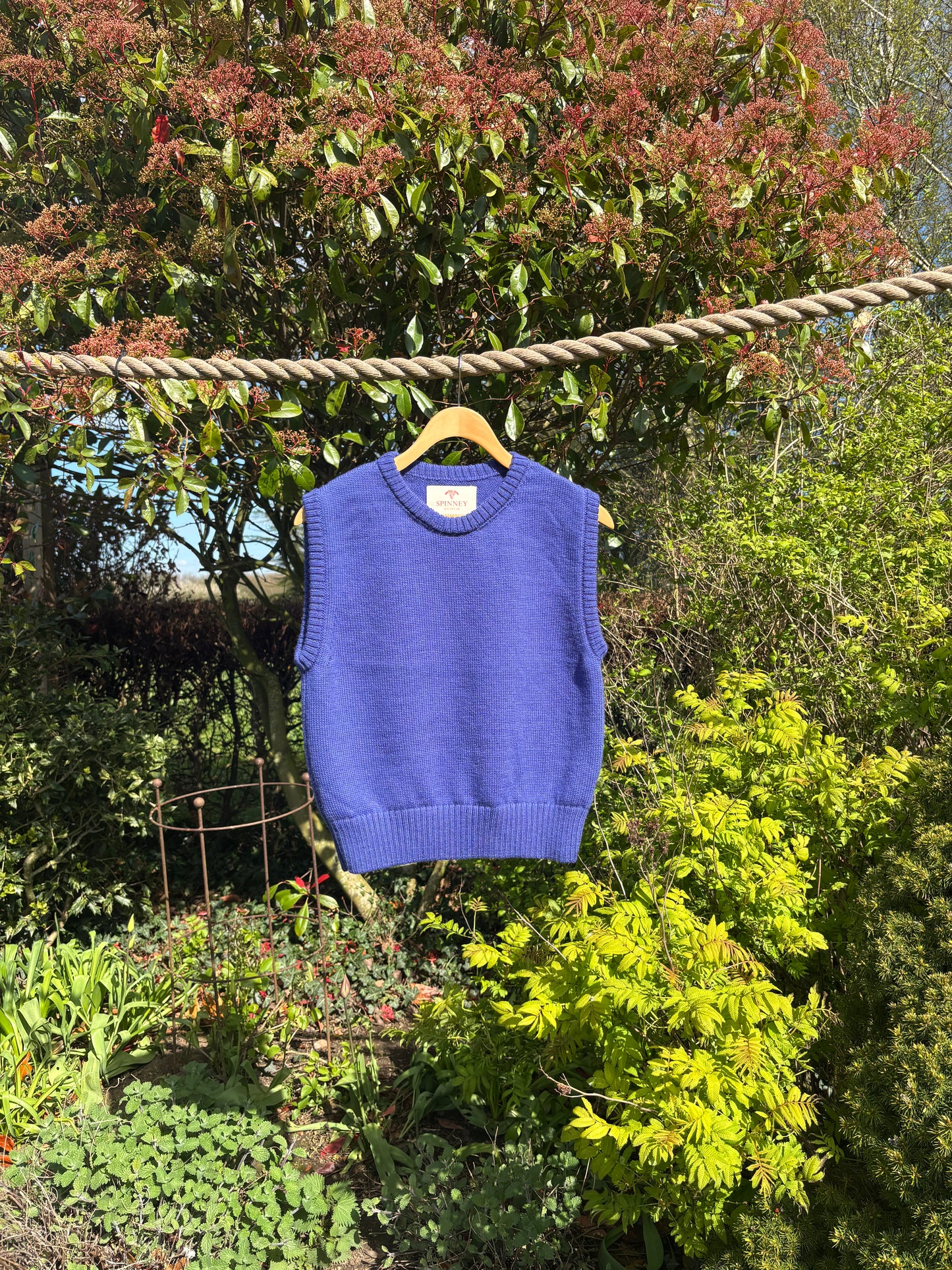 Violet Blue