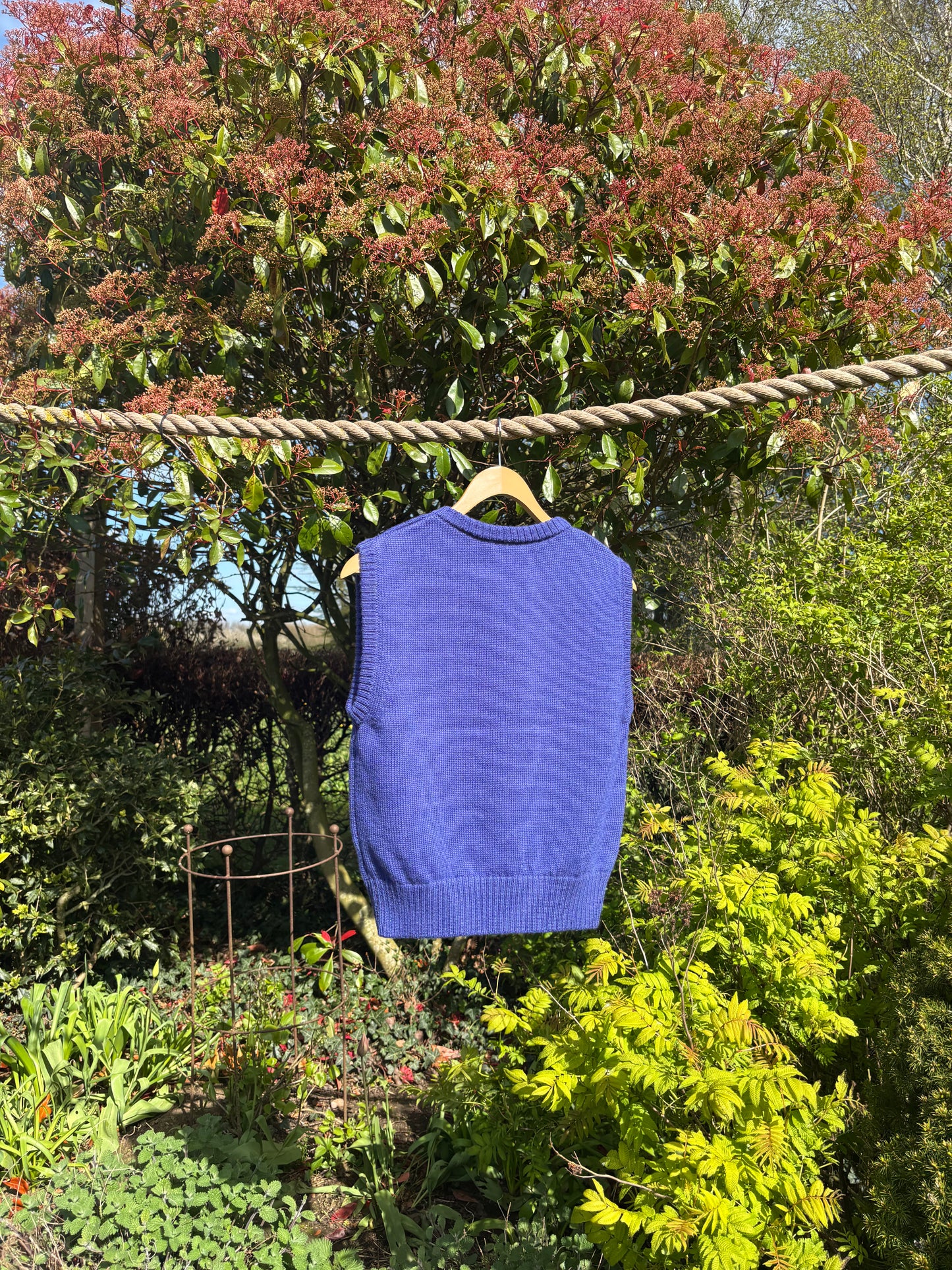 Violet Blue